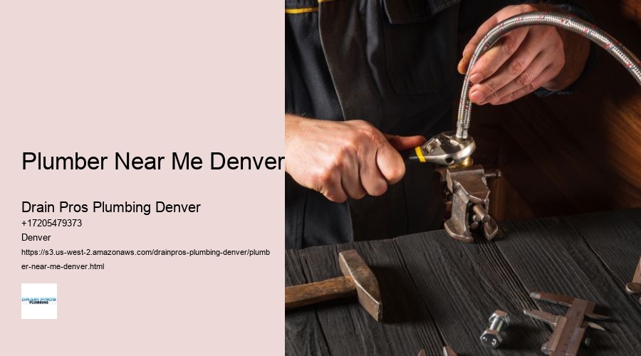 Plumber Near Me Denver  