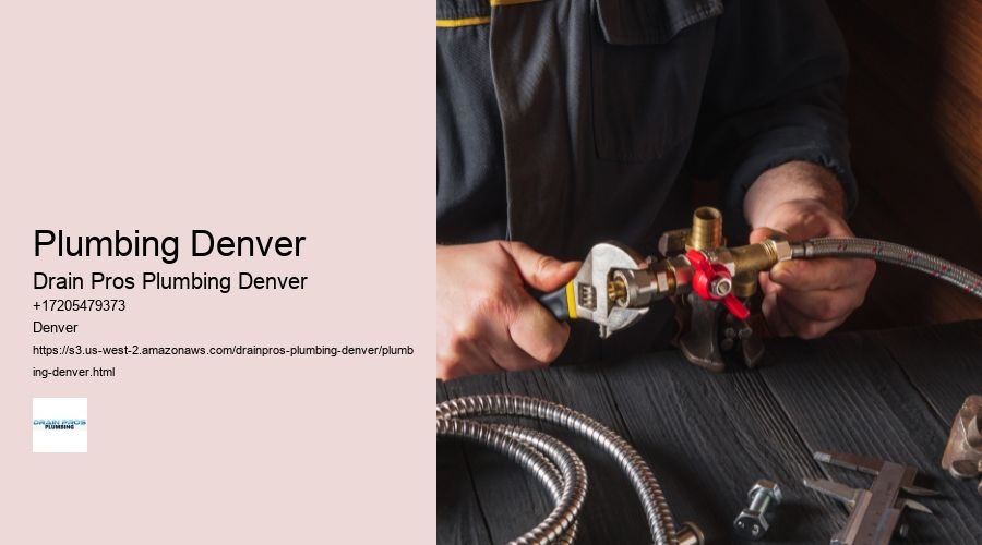 Plumbing Denver