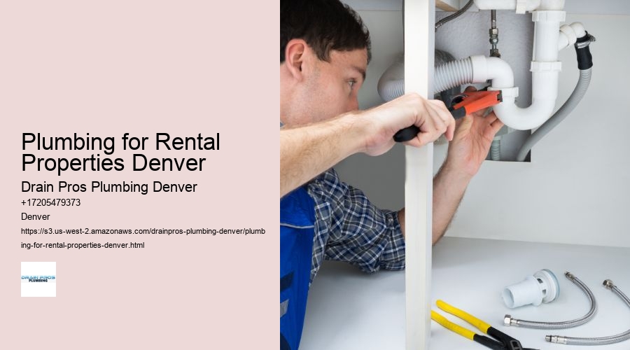 Plumbing for Rental Properties Denver  