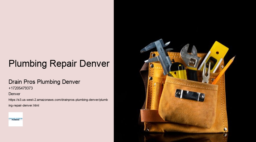 Plumbing Repair Denver  