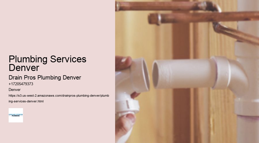 Plumbing Services Denver