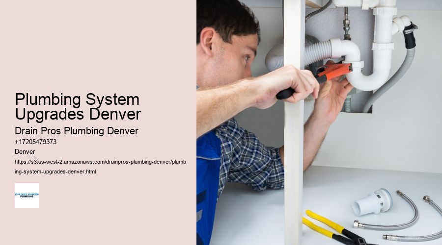 Plumbing System Upgrades Denver  