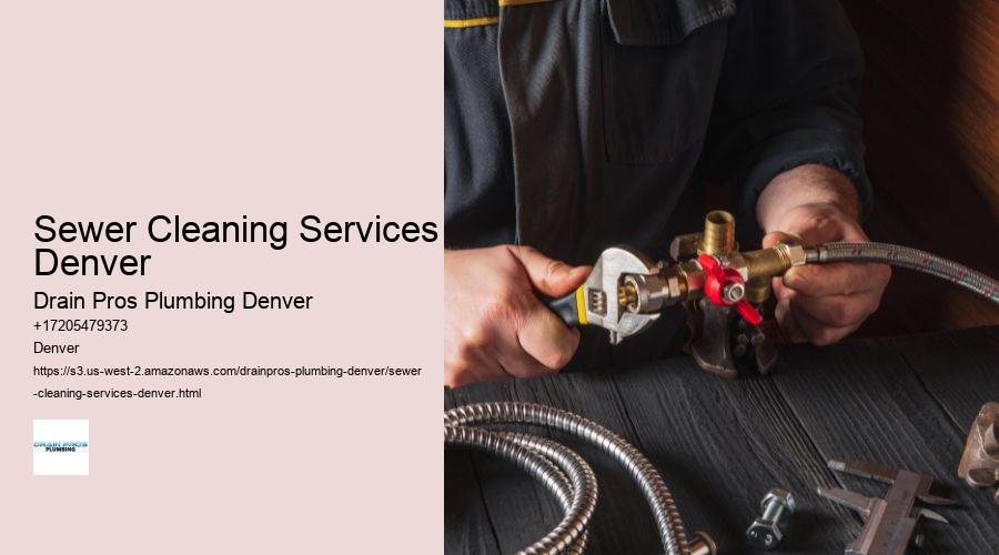 Sewer Cleaning Services Denver  
