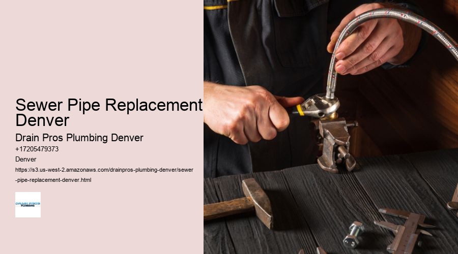 Sewer Pipe Replacement Denver  