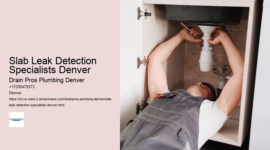 Slab Leak Detection Specialists Denver  