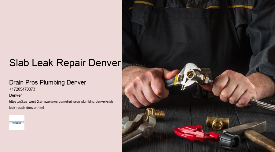 Slab Leak Repair Denver  
