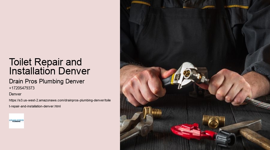 Toilet Repair and Installation Denver