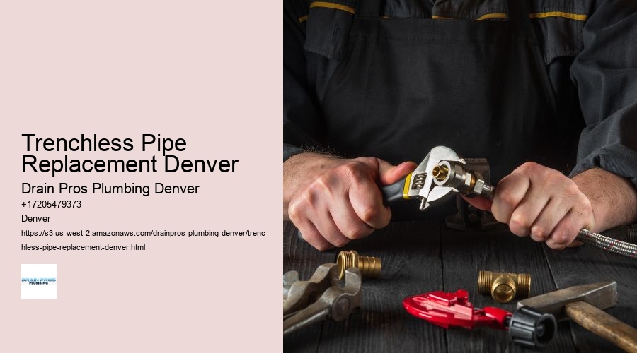 Trenchless Pipe Replacement Denver  