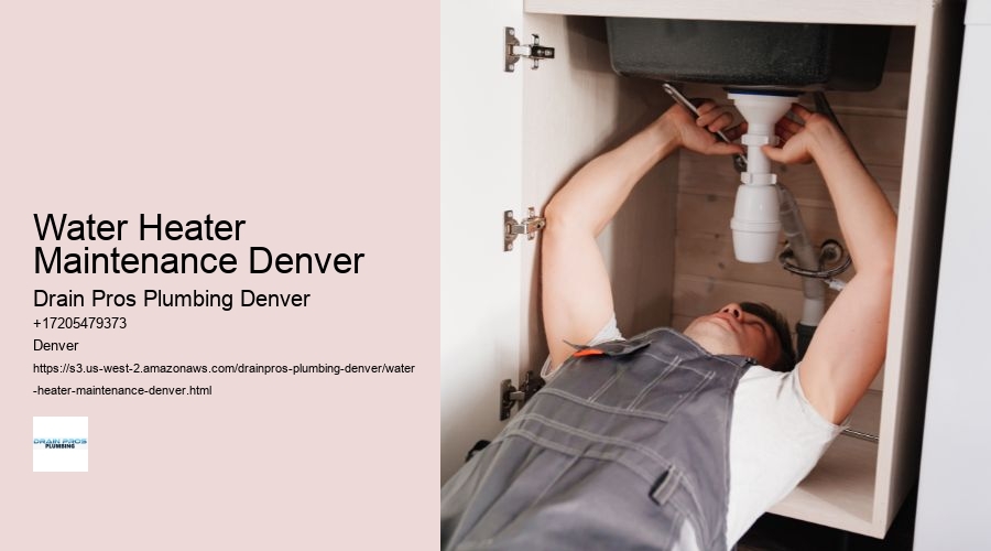 Water Heater Maintenance Denver  