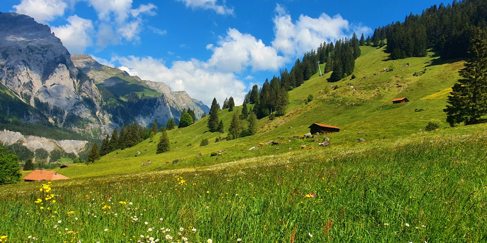 Influent Language Immersion - Switzerland: Geneva 4