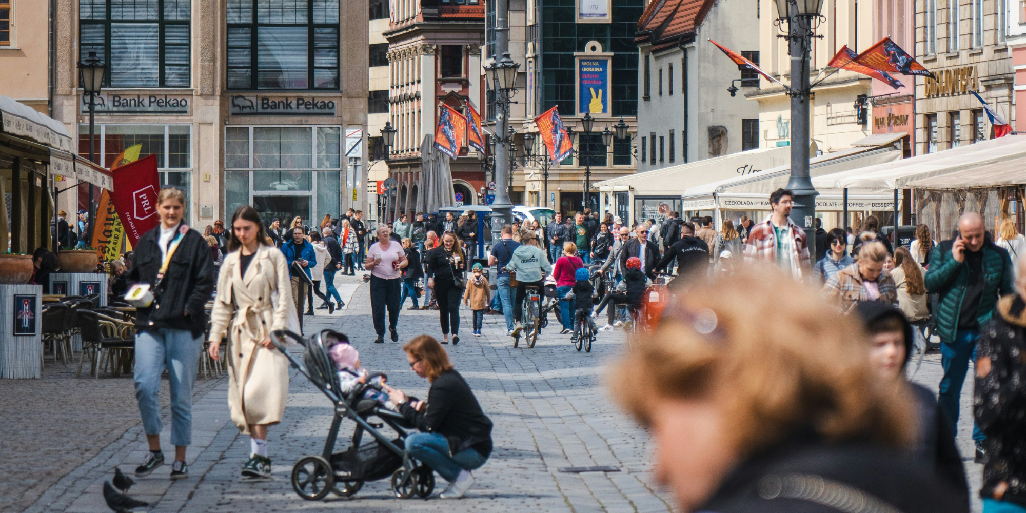 Influent Language Immersion - Poland: Warsaw 5