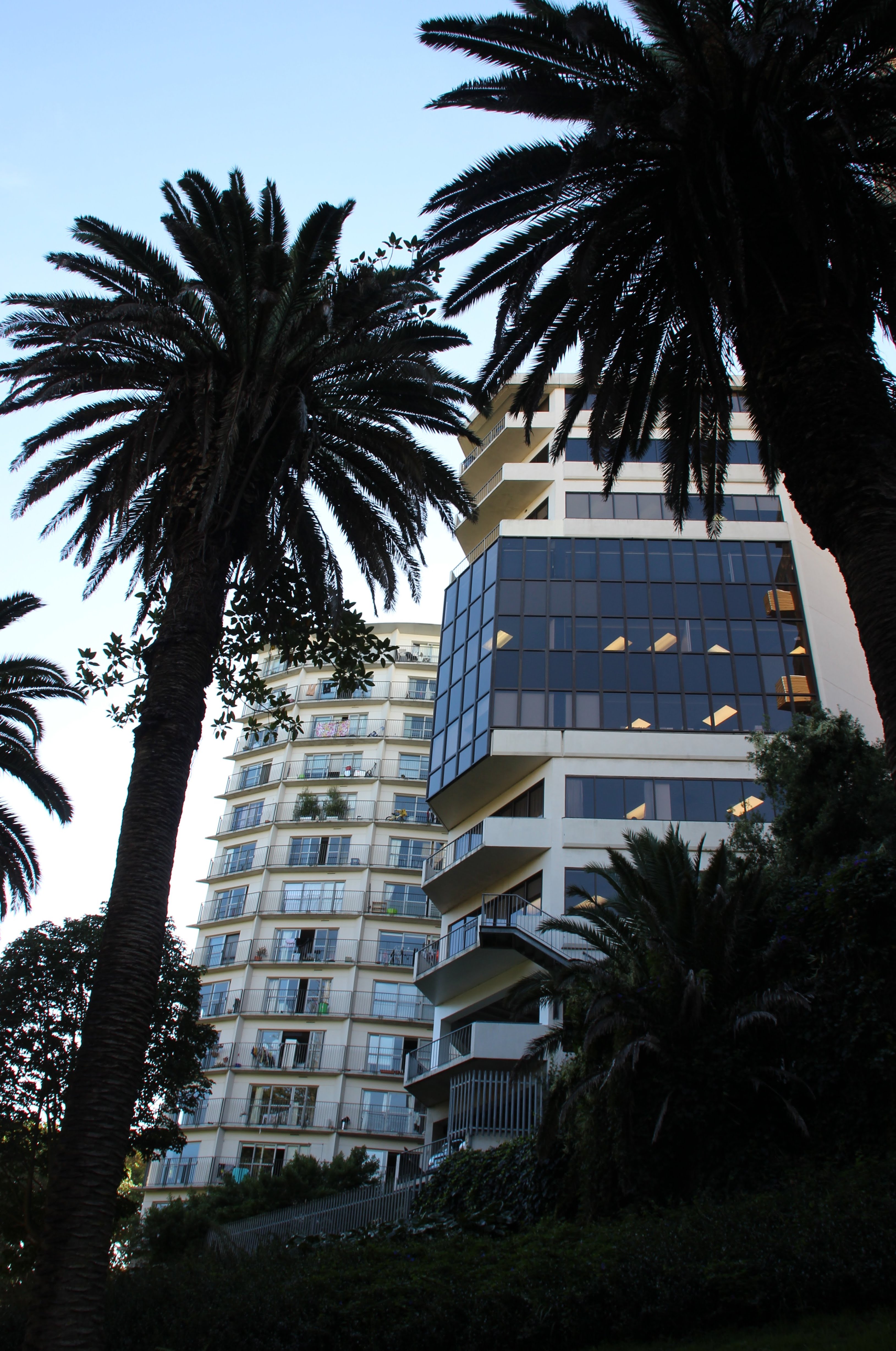LSI Auckland 6