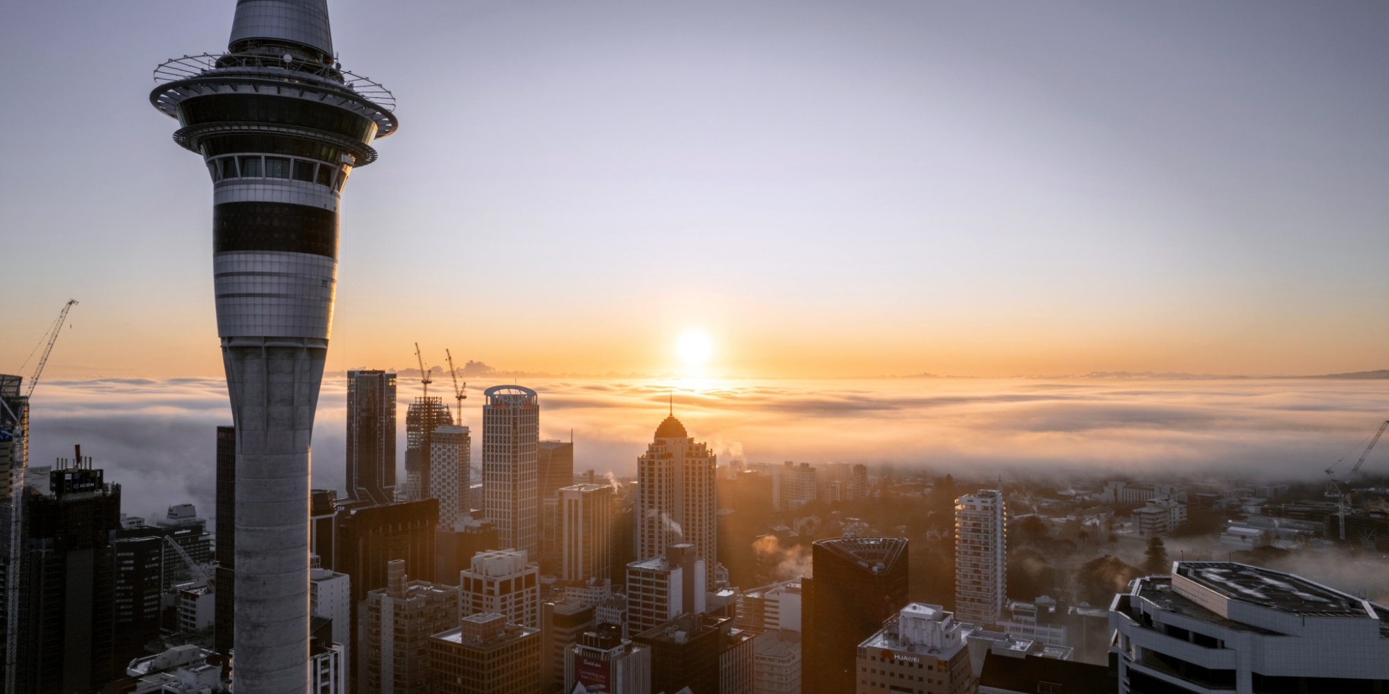 Influent Language Immersion - New Zealand: Auckland, Christchurch 4