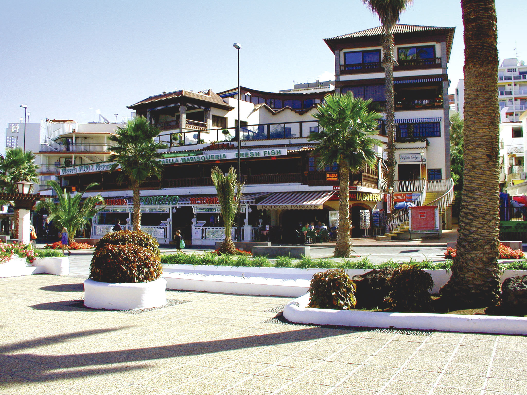 Enforex Spanish Schools - Tenerife 4