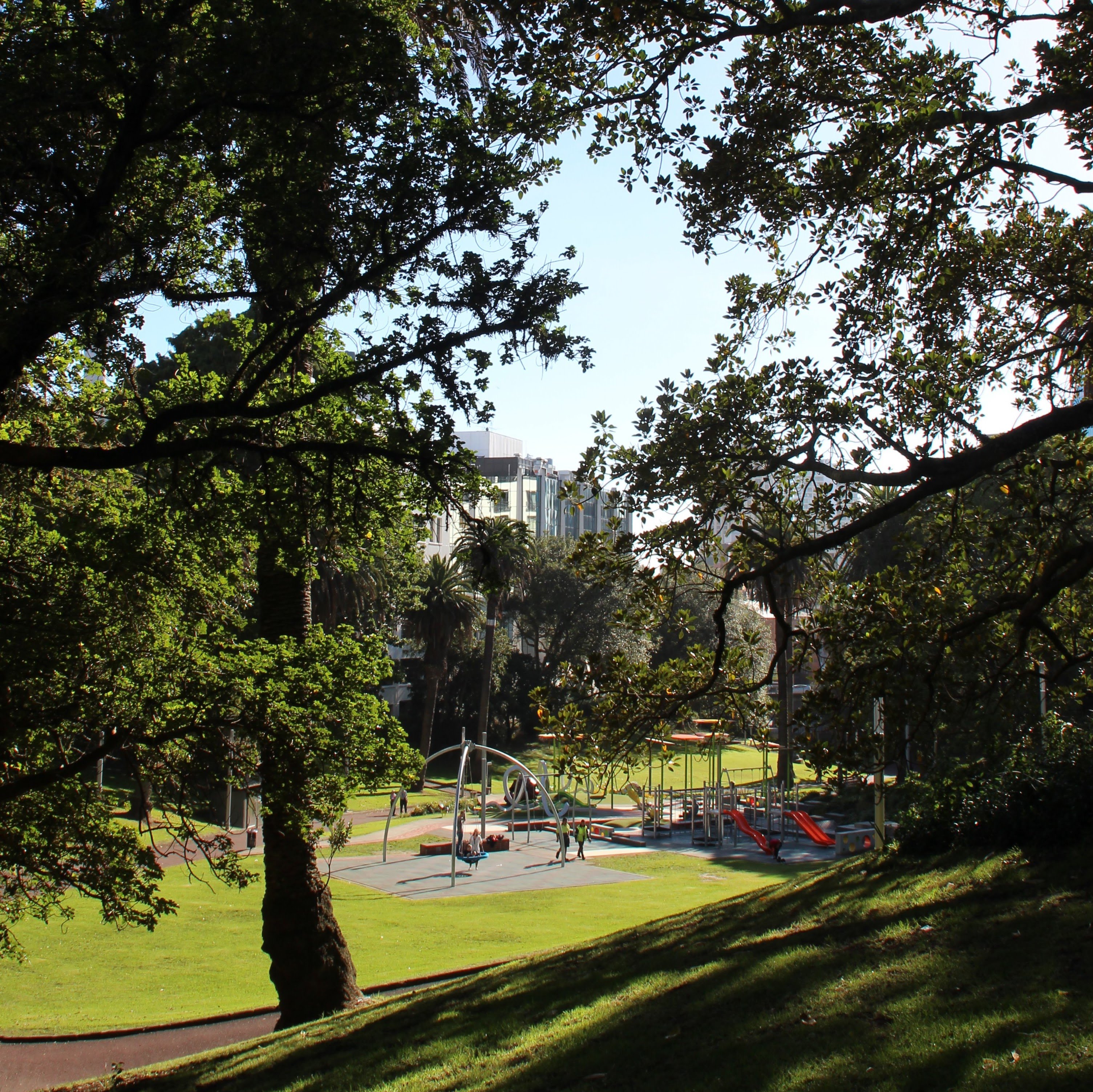 LSI Auckland 5
