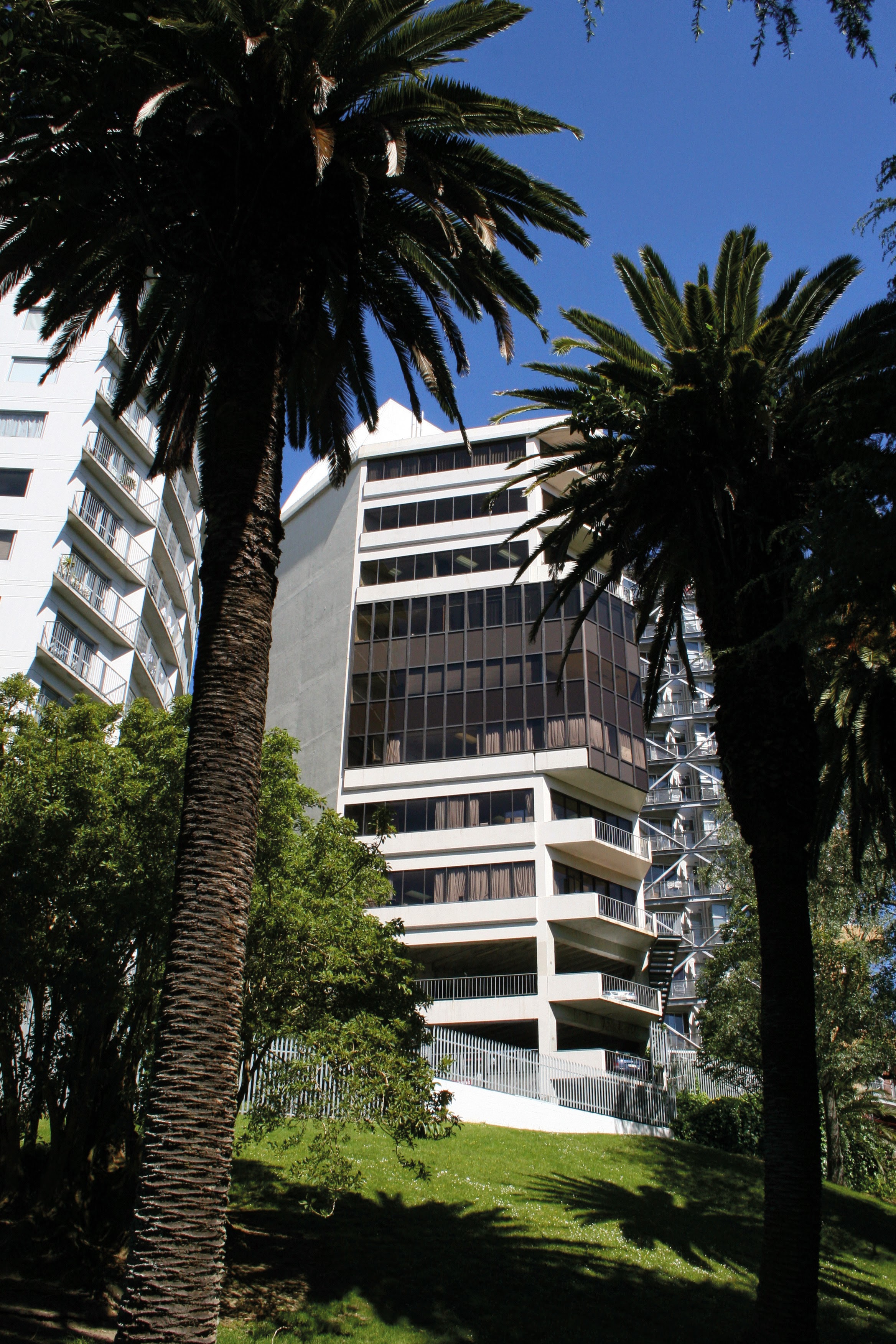 LSI Auckland 3