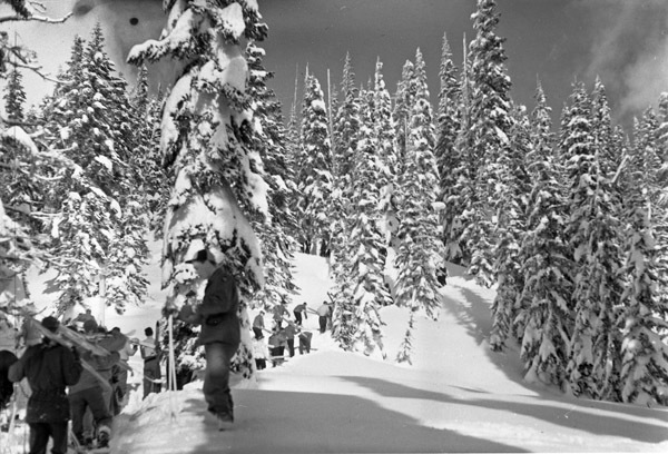 Mt. Rainier, Snow Hike 3