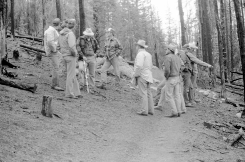 1987 Field Trip, Forest 10