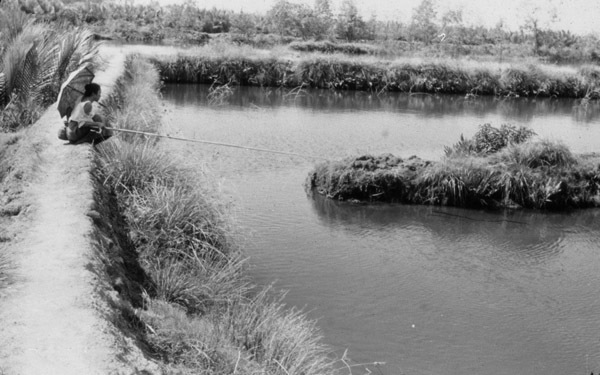 Binmaley Local Fishing 8