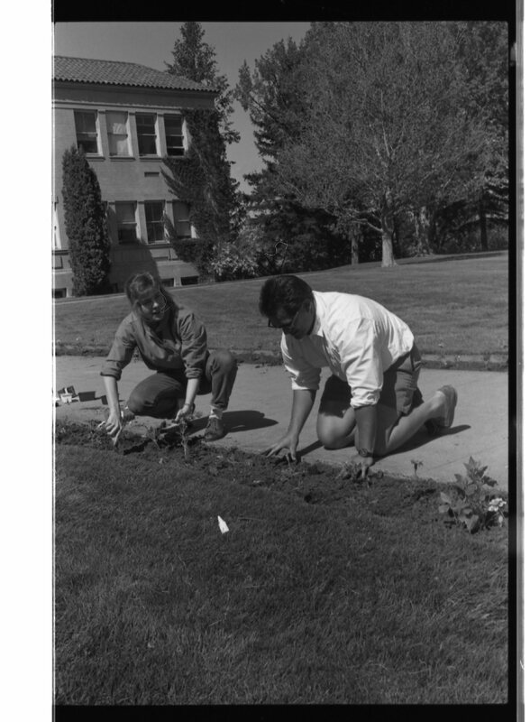 1989 Employees, Planting 21