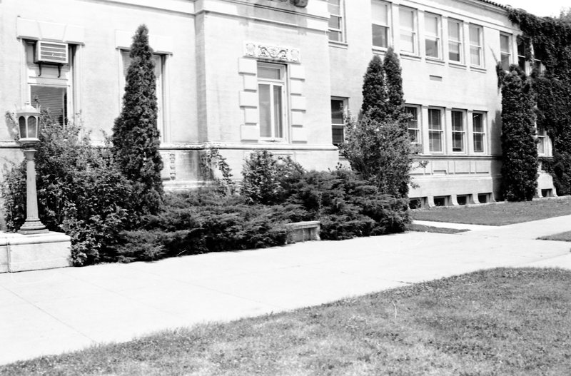1987 Inlow Hall, Bushes 01