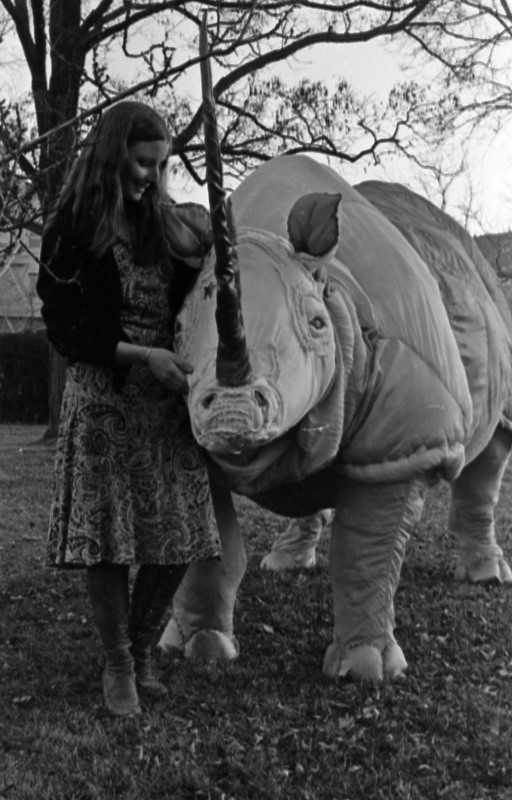 1977 Sculpture, Rhino 03