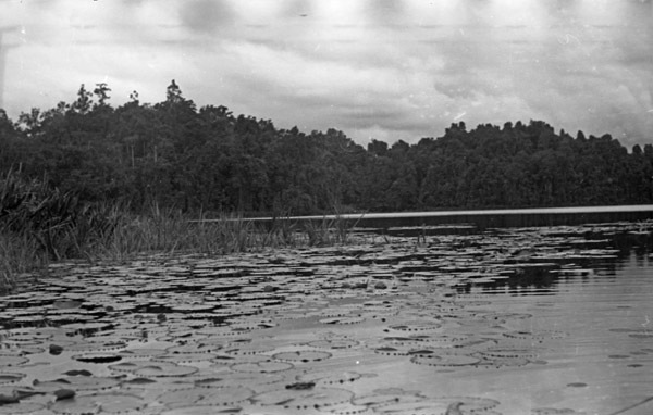 Big Emby Lake 5