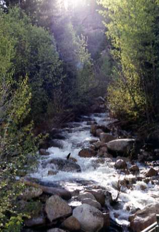 1987 Oregon, River