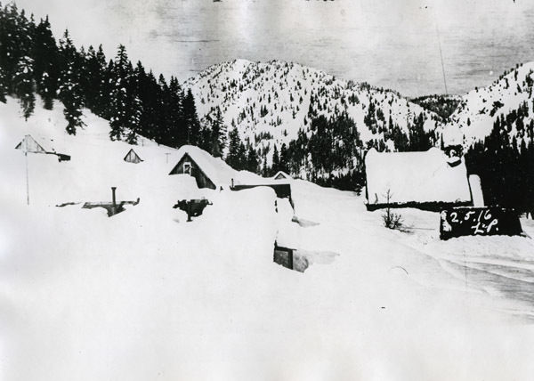 Cornucopia, Winter 1