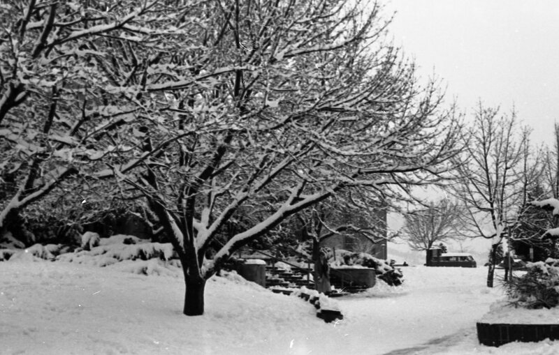 1983 Campus in Winter 03