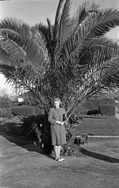 Martha Hill 4