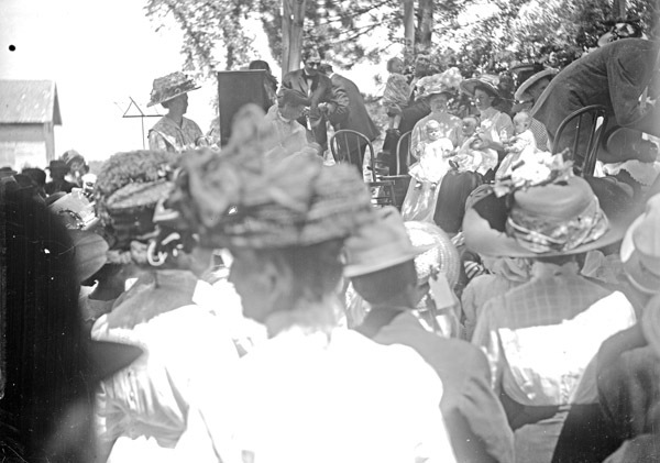 Cove, Cherry Fair Crowd 3