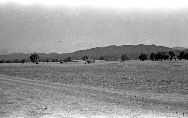 Hunter-Liggett Terrain 2