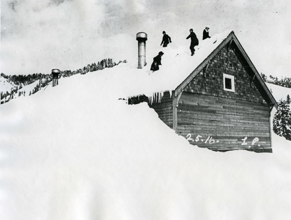 Cornucopia, Winter 4