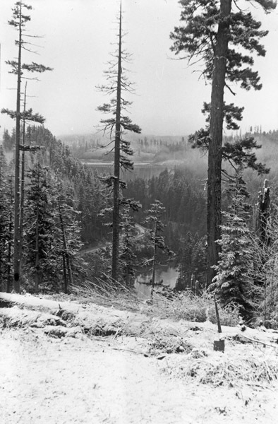 Mt. Rainier, Snow Hike 5