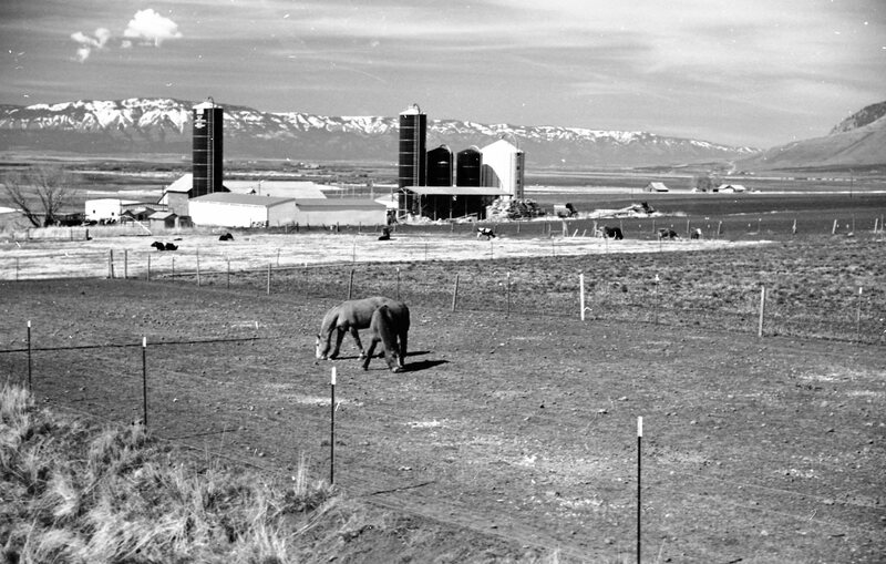 1978 Agriculture, Farm Equipment 10