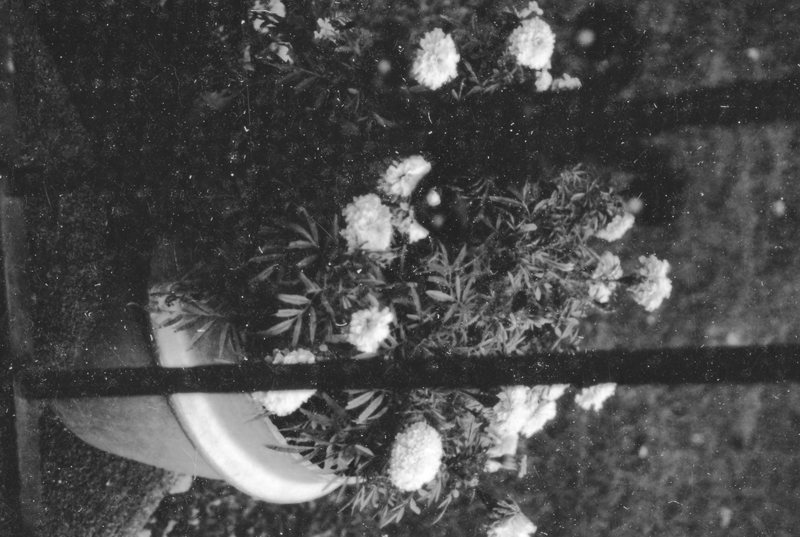 1984 Flowerpot