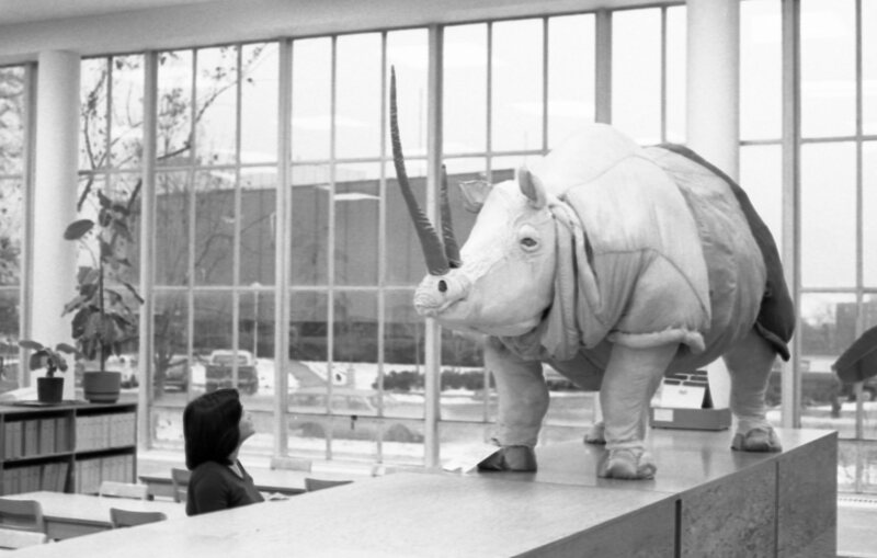 1978 Walter M. Pierce Library, Usage 08