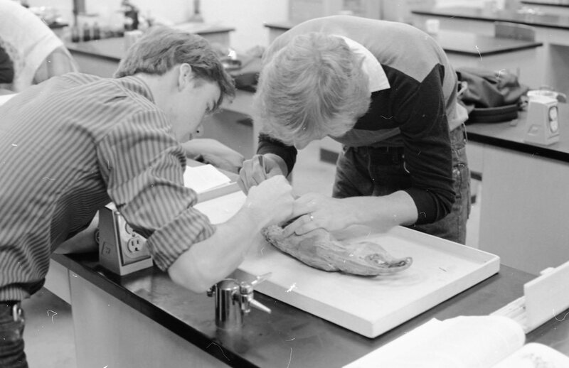 1984 Biology Lab, Dissection 02