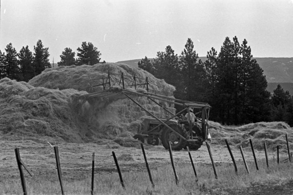 Elgin, Hay Stacking 1