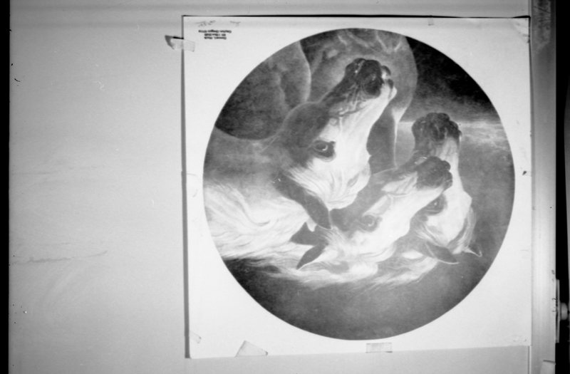 1981 Art, Horses