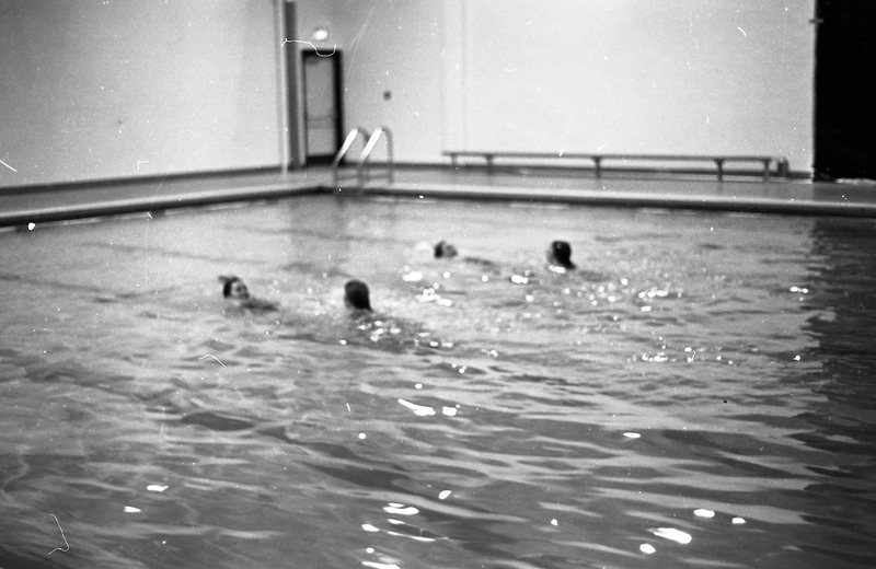 1982 Swimming, Synchronized 10