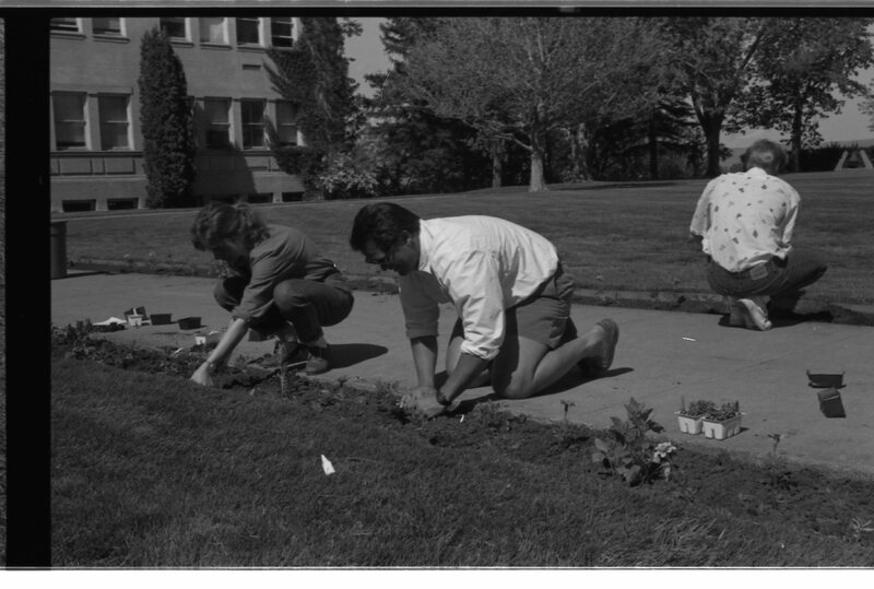 1989 Employees, Planting 22