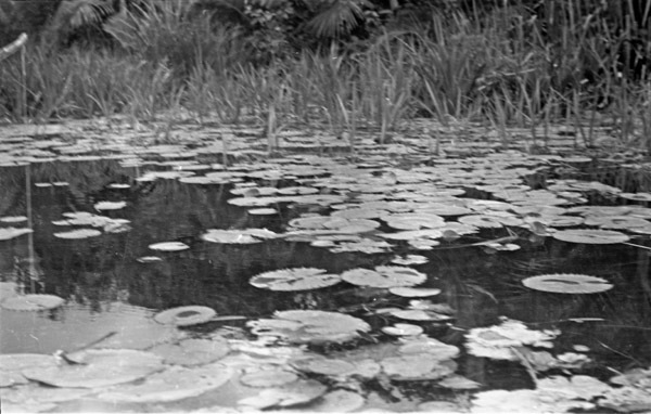 Big Emby Lake 4
