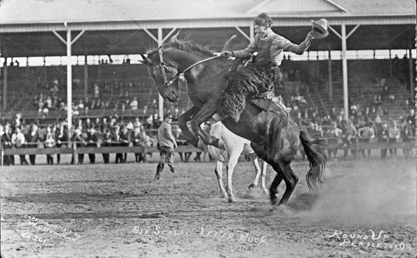 Rodeo, Bucking Bronco 2
