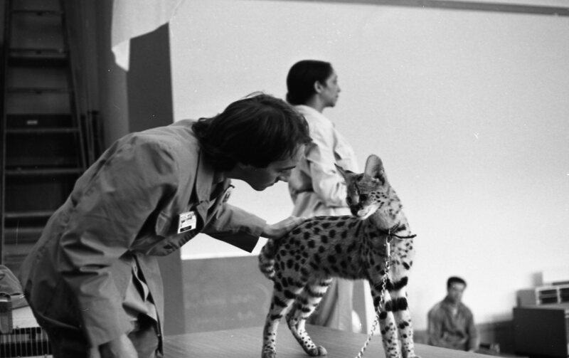1985 Ackerman Elementary School, Safari 06