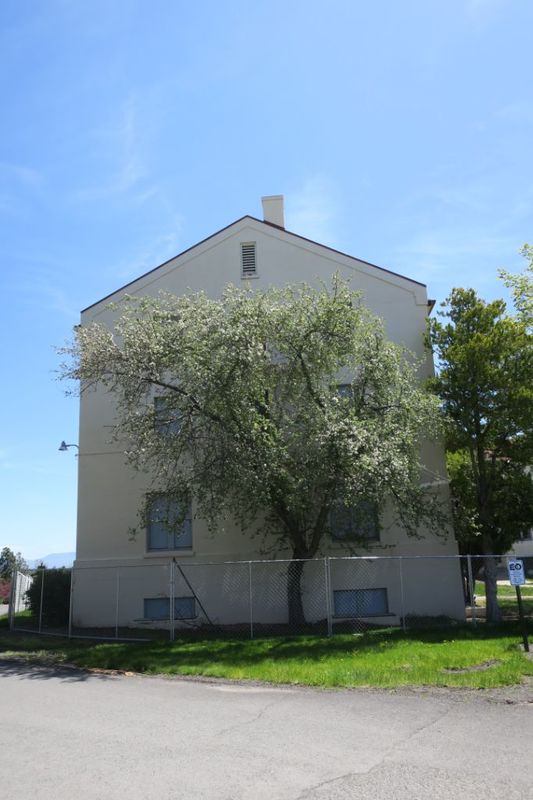 Dorian and Hunt Hall 45