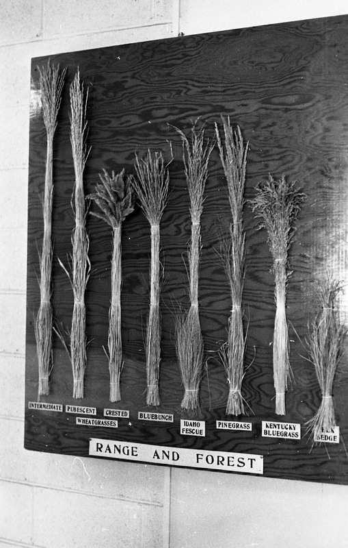 1979 Agriculture, Grass Samples