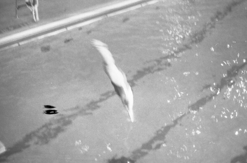 1979 Quinn Swimming Pool 03