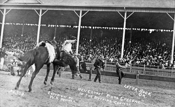 Rodeo, Bucking Bronco 1